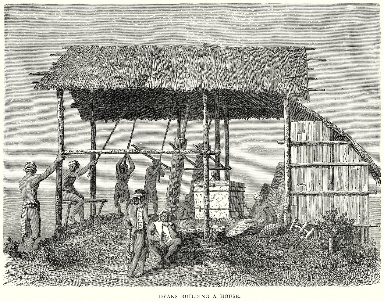 Dyaks Building a House by English School