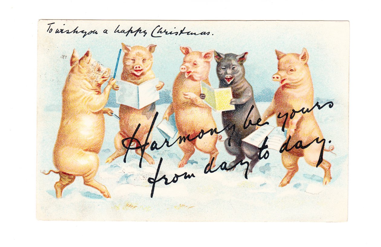 Edwardian Christmas Postcard of Five Pigs Having a Musical Session, c.1910 by English School
