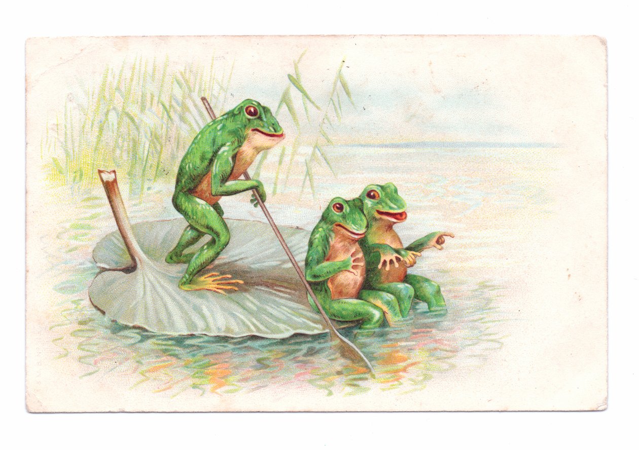 Edwardian Postcard of Two Frogs Sitting on a Water Lily Boat While a Third is Rowing, c.1910 by English School
