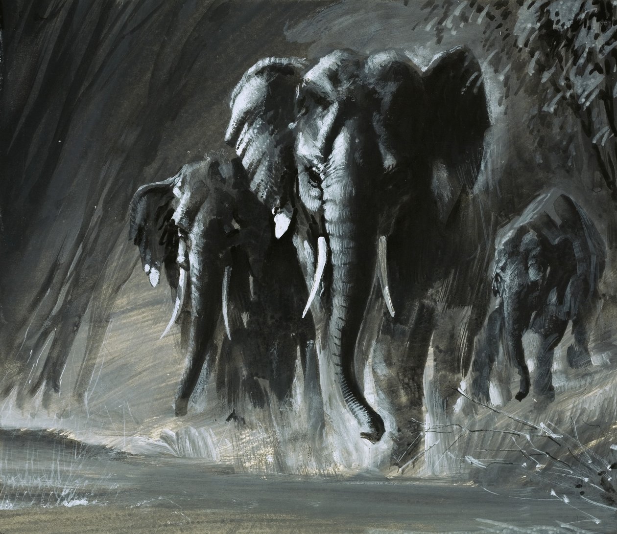 Elephants by English School