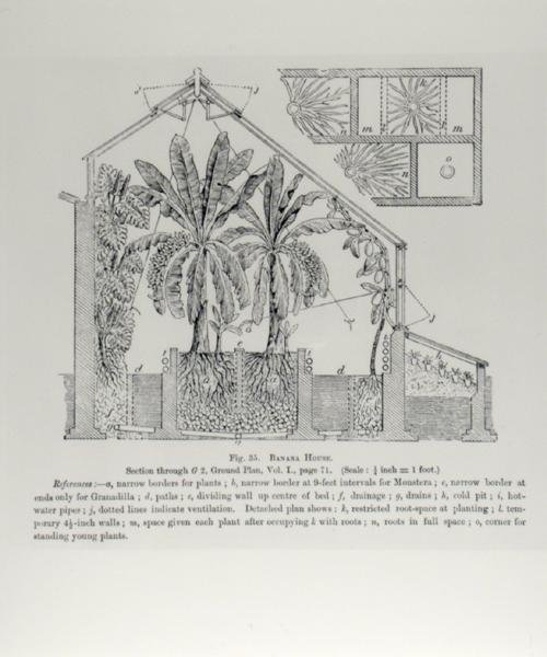 Elevation of a greenhouse, from 