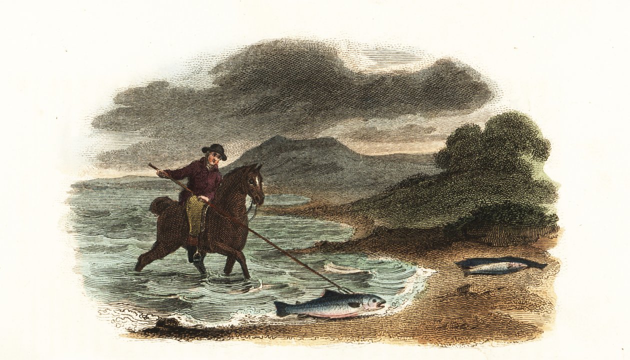 English fisherman Graham hunting salmon in the shallows mounted on horseback with a 5-meter 3-prong spear by English School