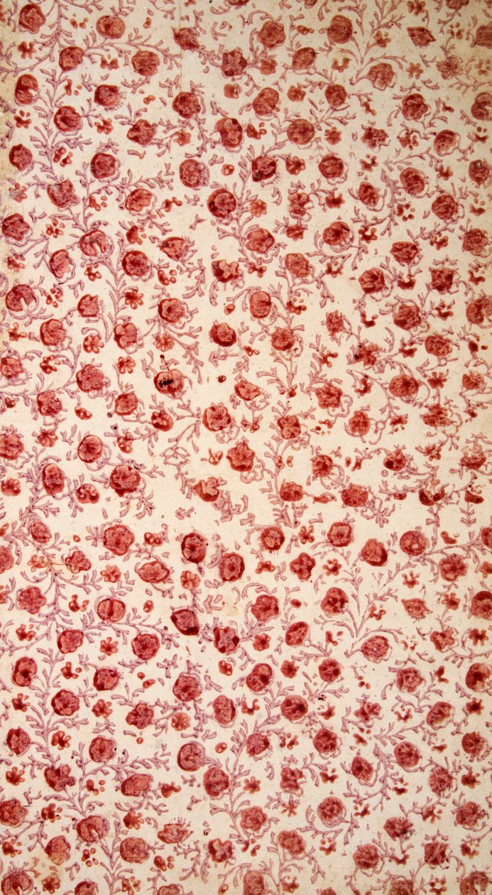 Floral Endpaper hand coloured engraving by English School