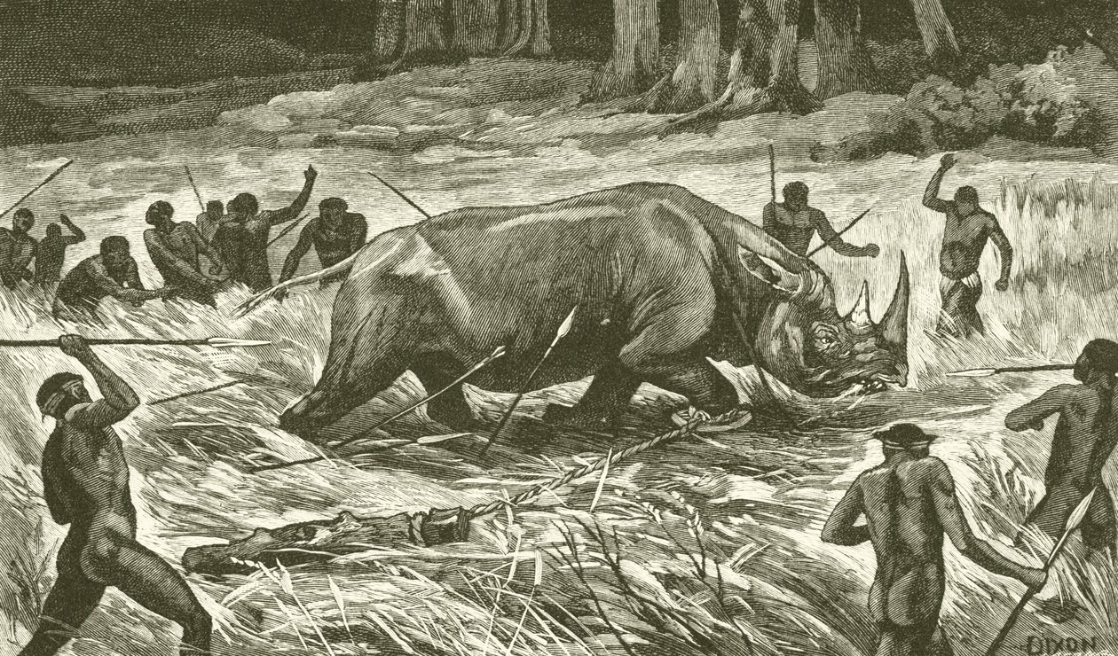 Following the Noosed Rhinoceros by English School