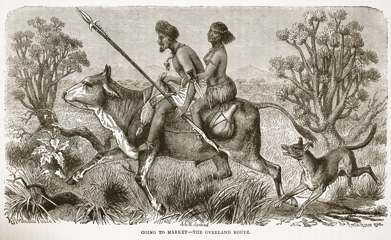 Going to market - the overland route, illustration from The Pictorial Edition of the Life and Discoveries of David Livingstone by J. Ewing Richie by English School