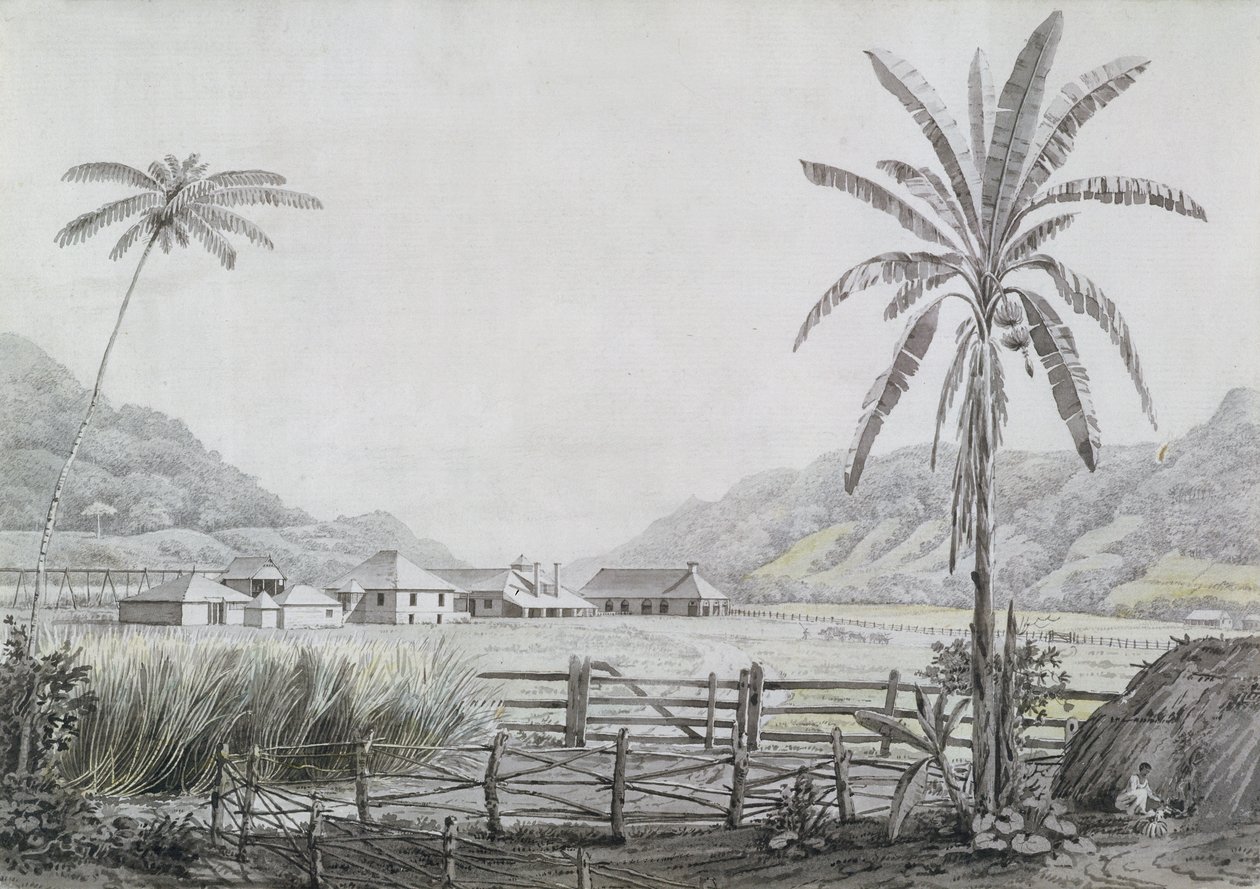 Halse Hall, Jamaica, c.1780 by English School