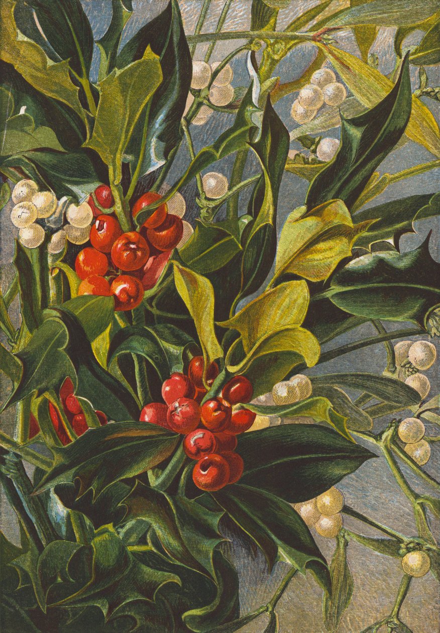 Holly and mistletoe by English School