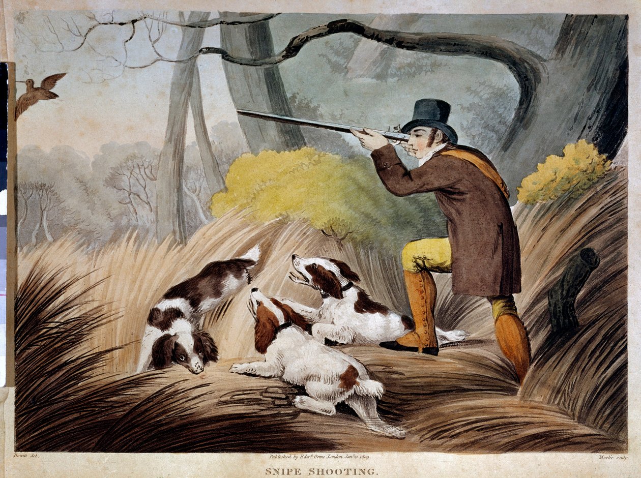 Hunting a Beak in England by English School