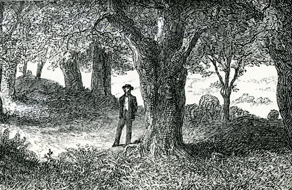 Illustration from 