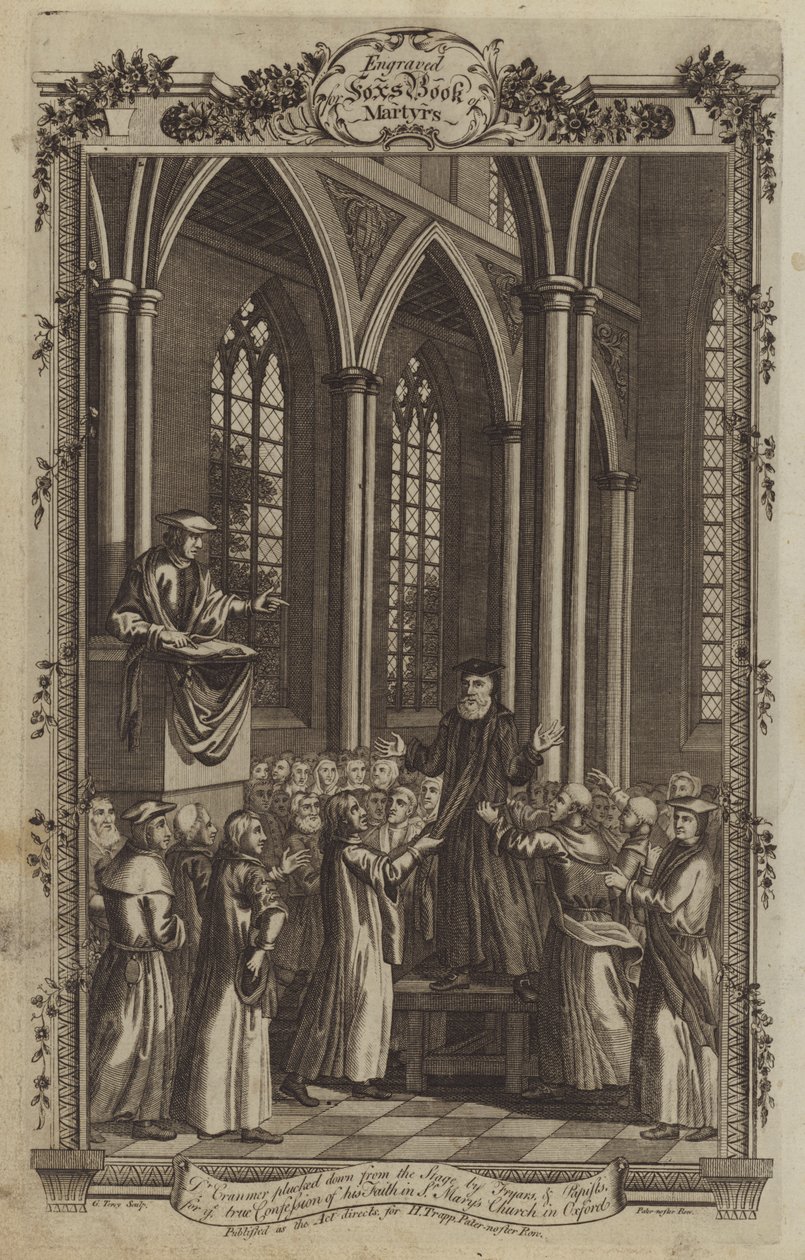 Illustration for Fox