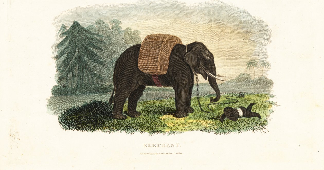Indian child left under the protection of a chained elephant while the parents forage in the woods for food by English School