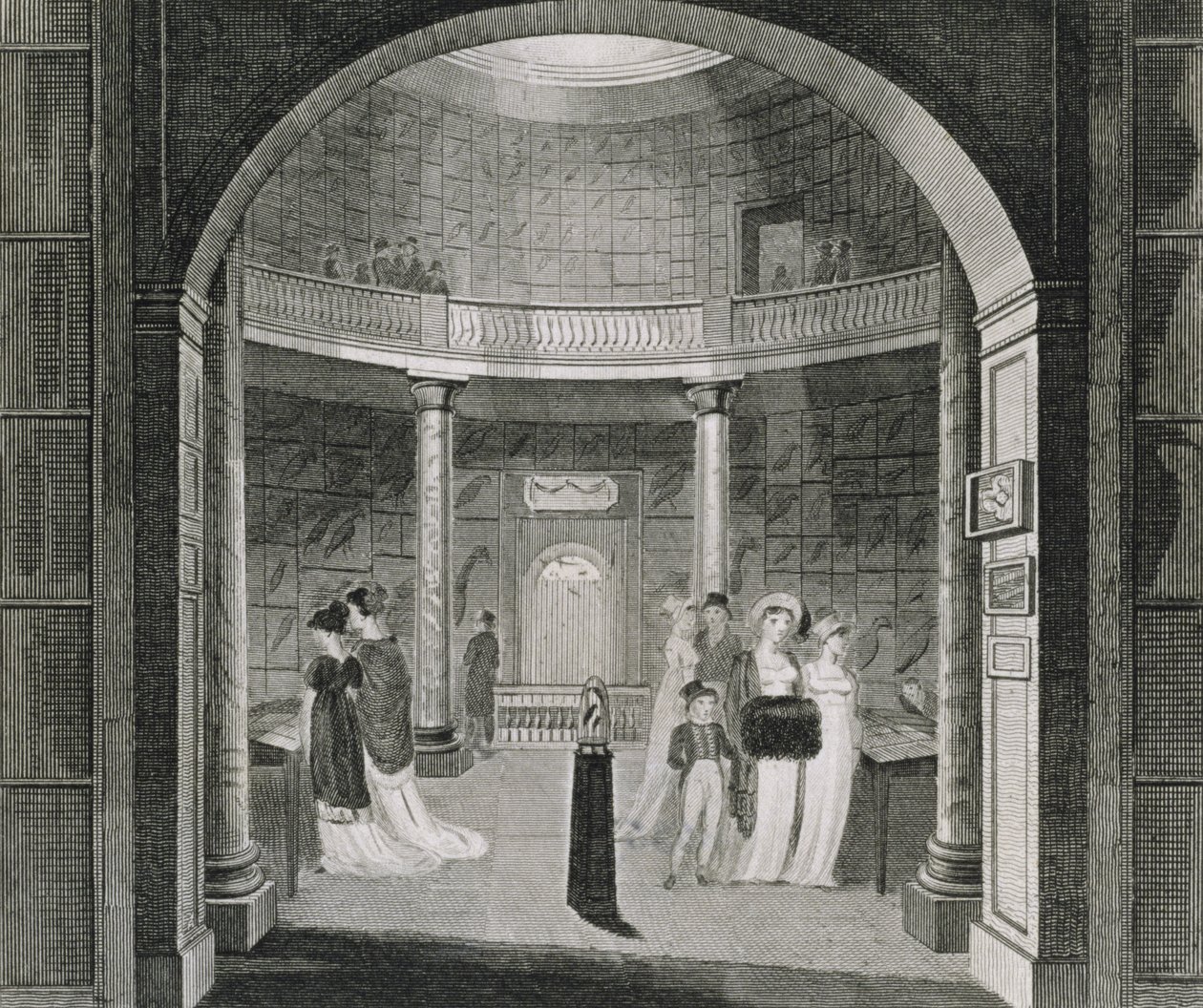 Interior View of the Leverian Museum, 1806 by English School