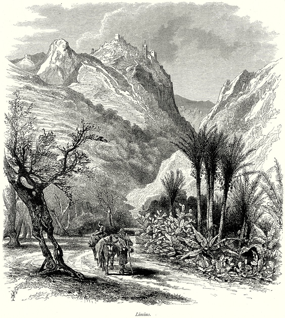 Limino by English School