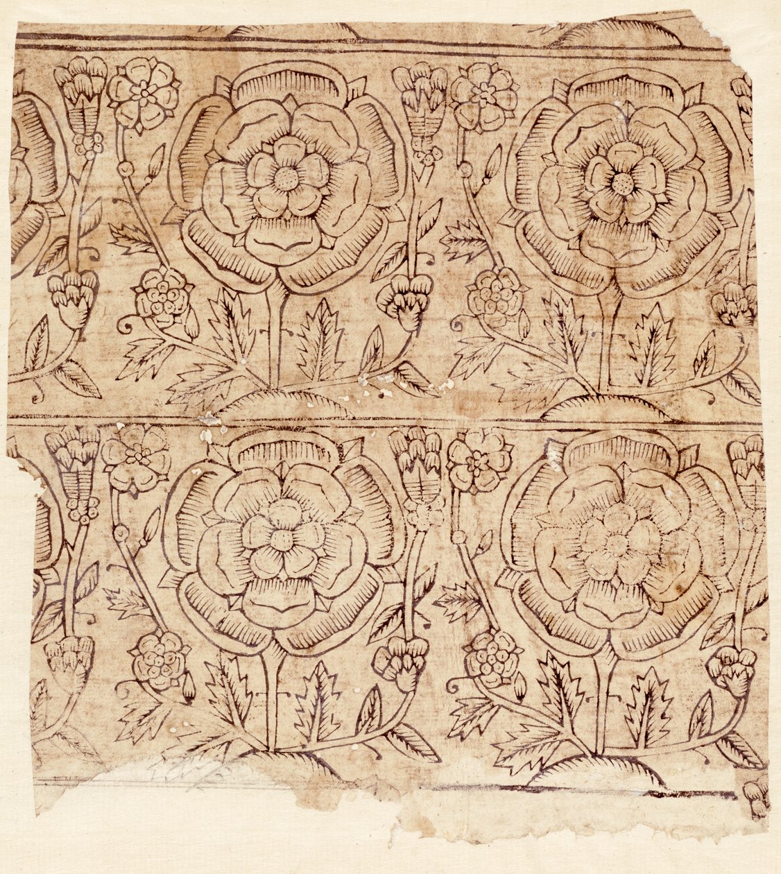Lining paper with a Tudor Rose pattern, c.1550 by English School