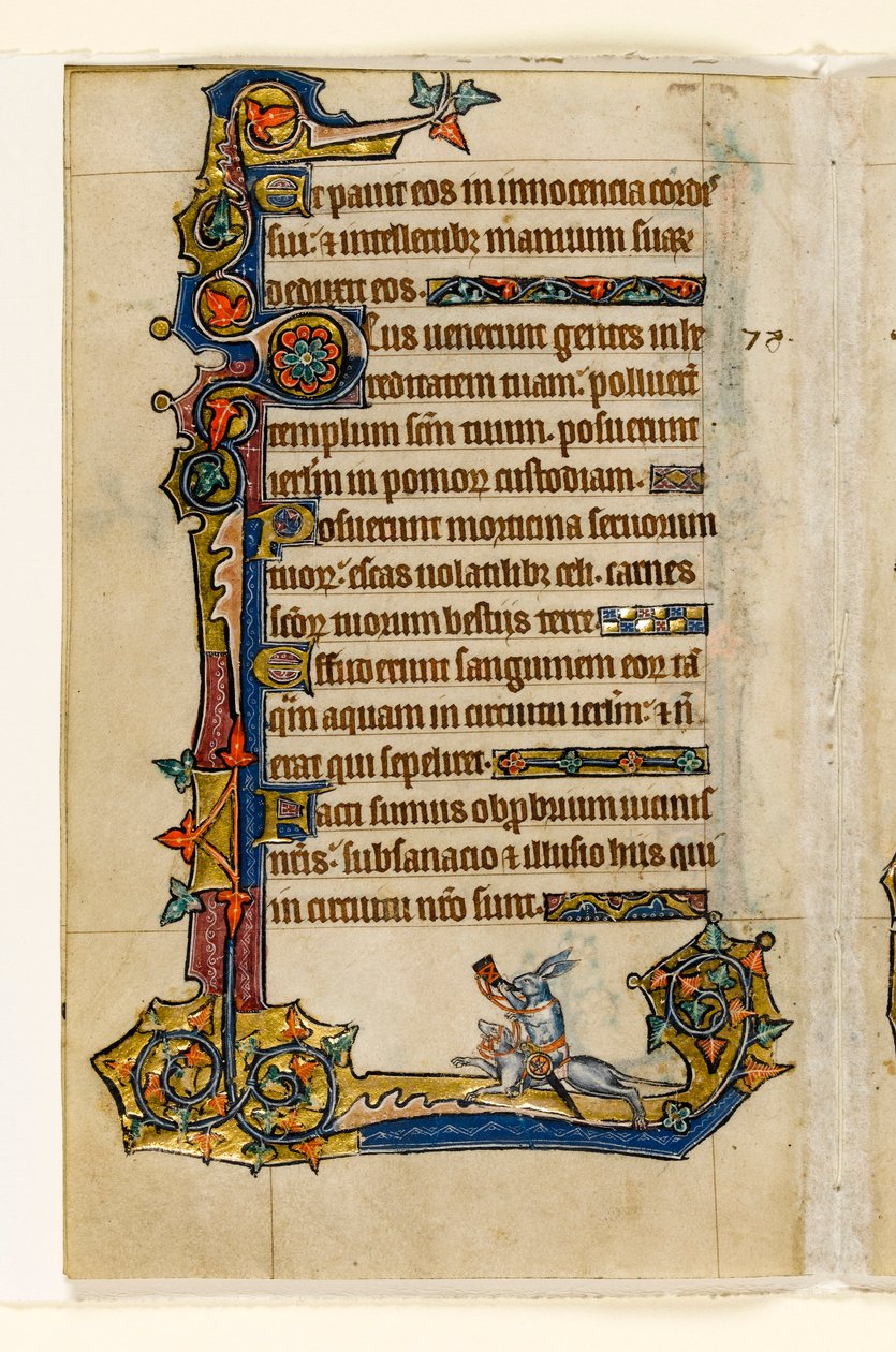 A Rabbit Riding a Hound, Hunting, Marginal Decoration from the Macclesfield Psalter, Use of Sarum, East Anglia (c.1330) by English School