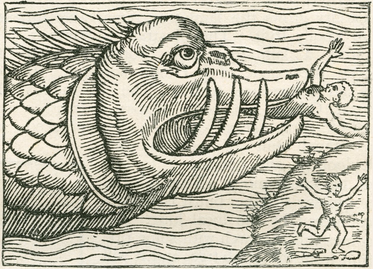 Man being eaten by a sea serpent (Illustration on the margin of a map by Olaus Magnus) by English School
