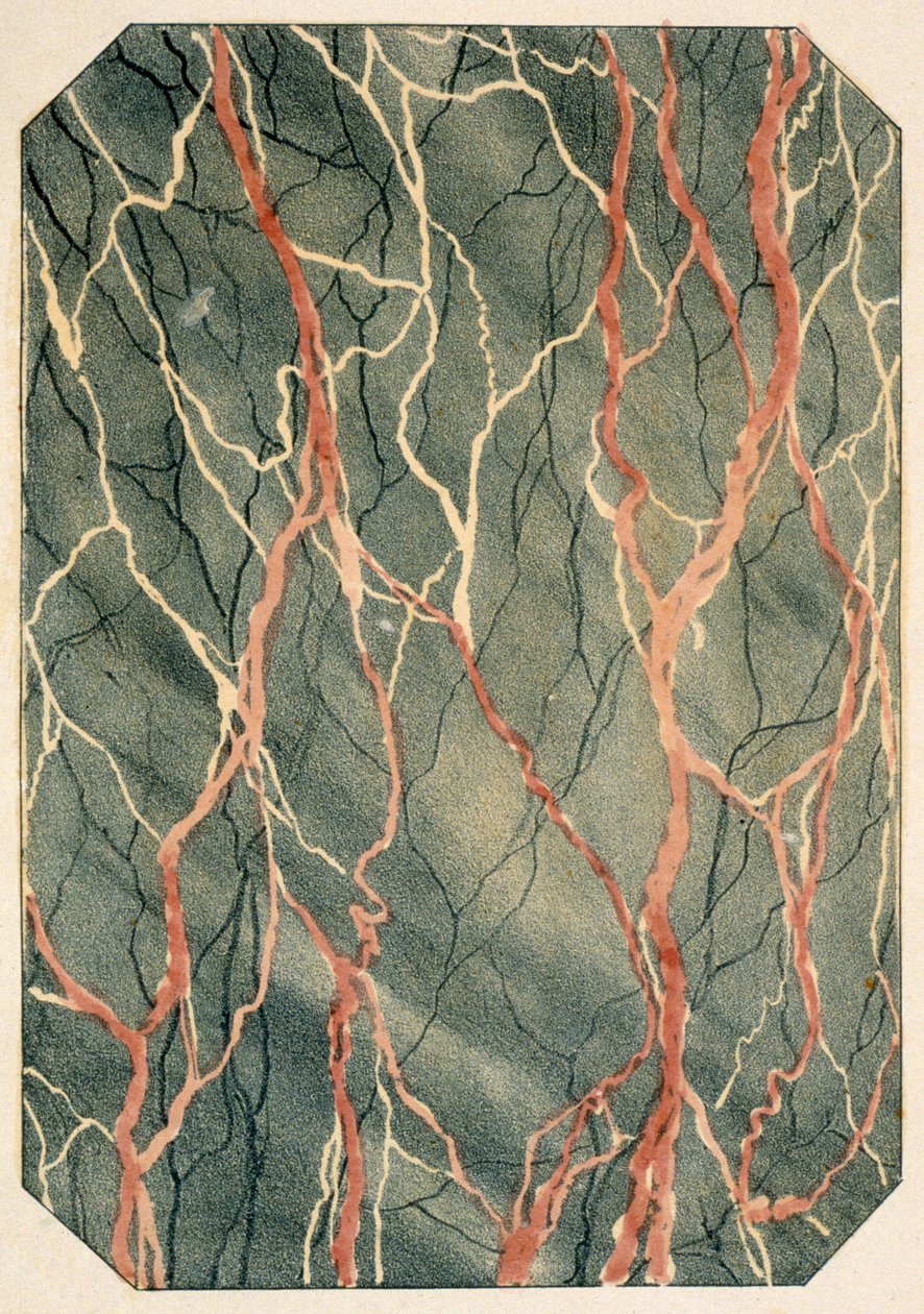 Marbling Effects: Page from a Victorian Pattern Book by English School