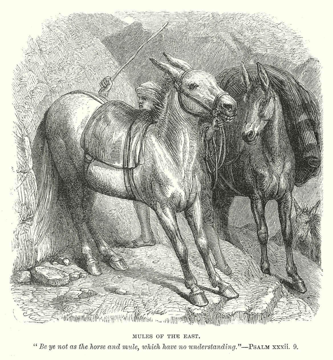 Mules of the East by English School