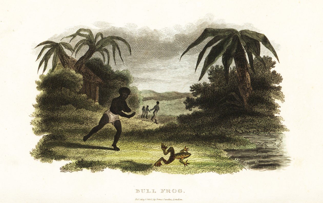 Native American man losing a race with a bull frog to a pond by English School