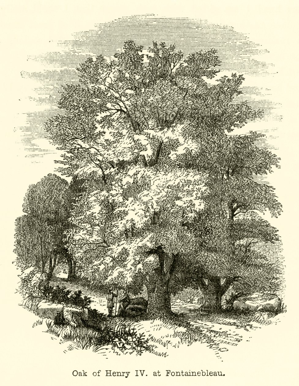 Oak of Henry IV, at Fontainebleau by English School