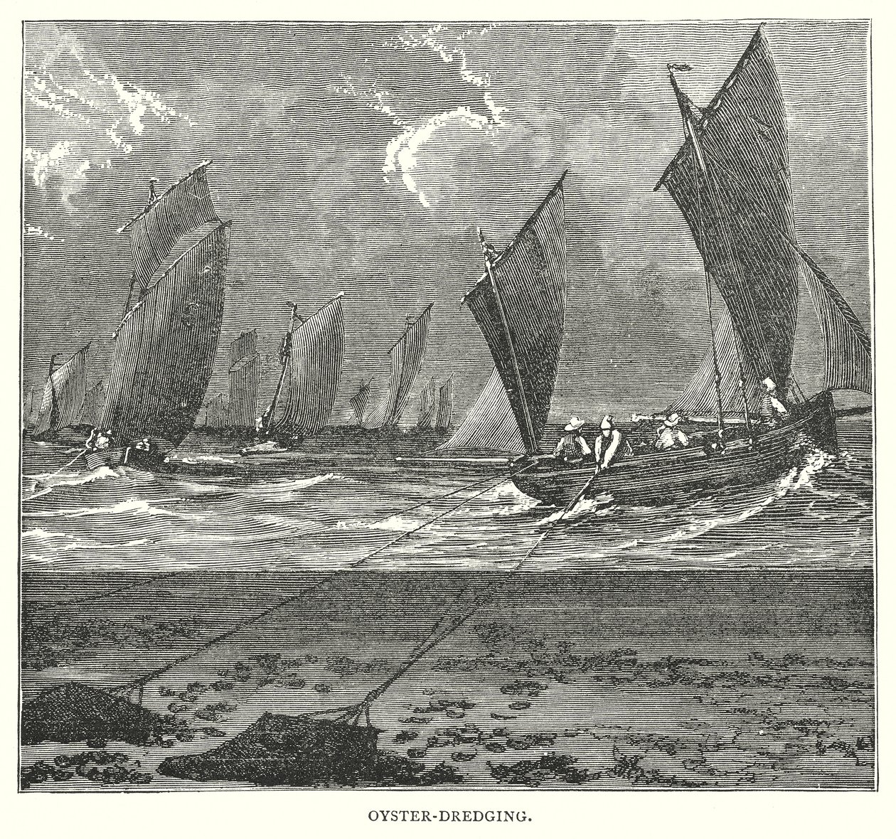 Oyster-Dredging by English School