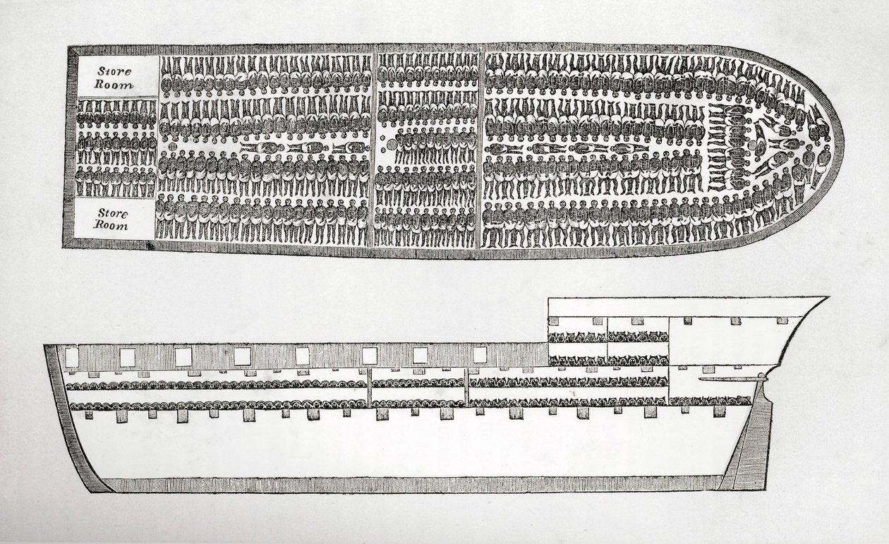 Plan Showing How Slaves Were Transported on Board a Slave Ship in the 18th Century by English School
