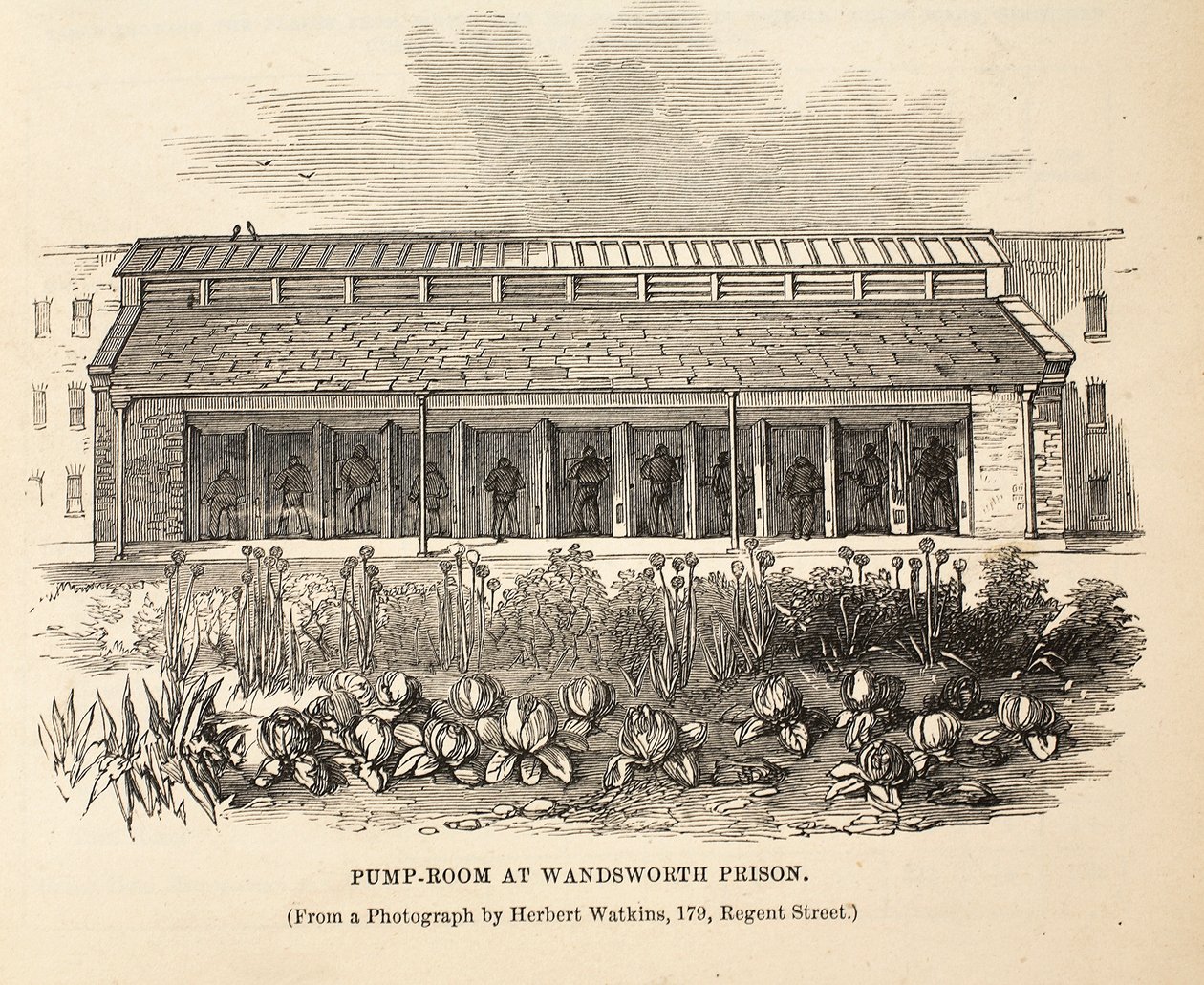 Pump-room at Wandsworth Prison, illustration from The Criminal Prisons of London and Scenes from Prison Life by Henry Mayhew and John Binny, pub. 1862 by English School