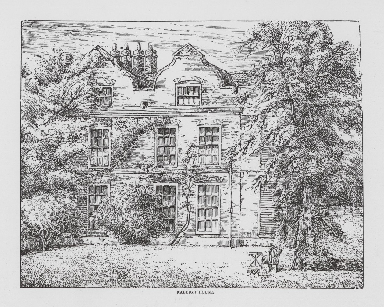 Raleigh House by English School