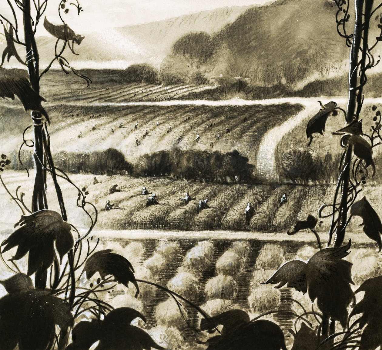 Reservoirs of Water Under the Desert Can Be Used to Make the Land Fertile by English School