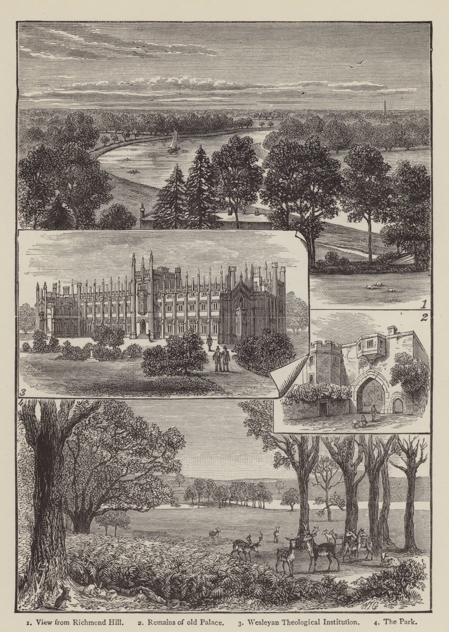 Richmond by English School