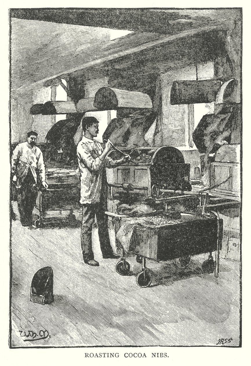 Roasting Cocoa Nibs by English School