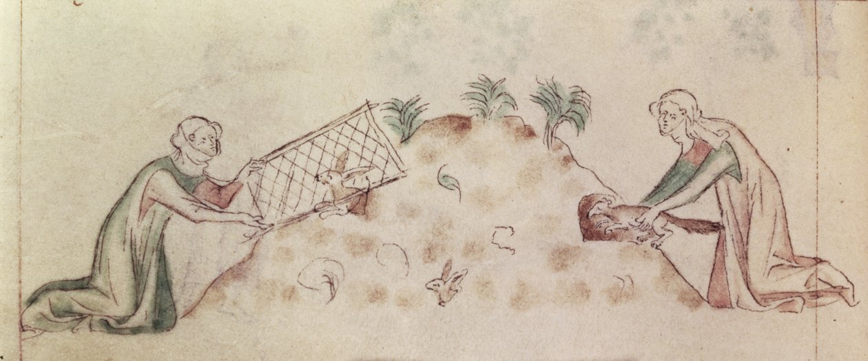 Women catching a rabbit with a net and a ferret, from the 