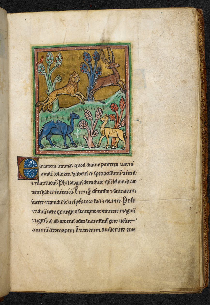 Leopard chasing a stag, with a camel and another animal, from Bestiary, Lapidary by English School
