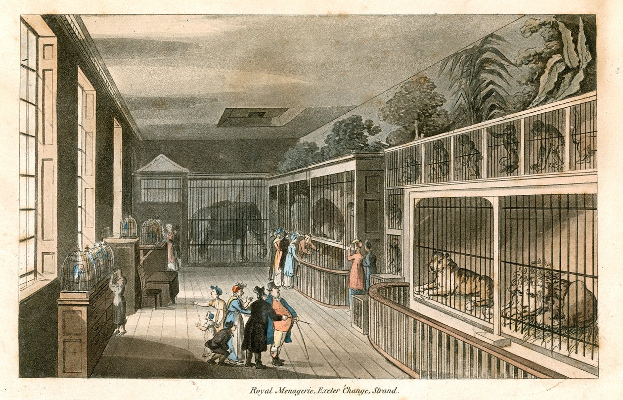 Royal Menagerie, Exeter Change, Strand by English School