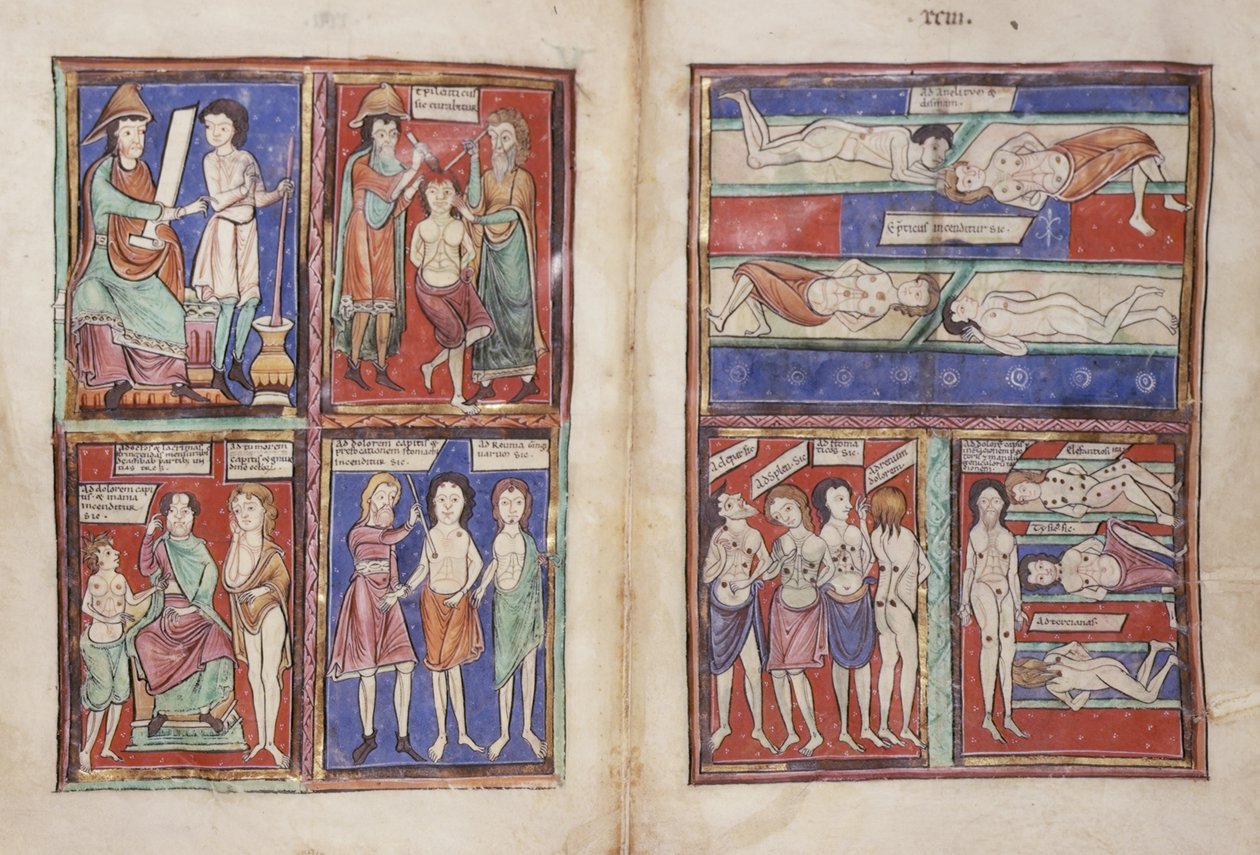 Medical scenes, Sloane 1975 fol.91v-92 by English School