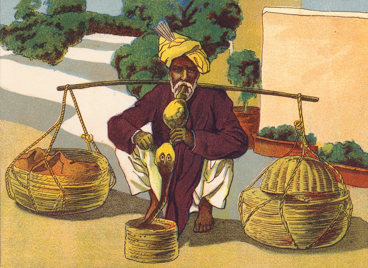 Snake Charmer, India by English School