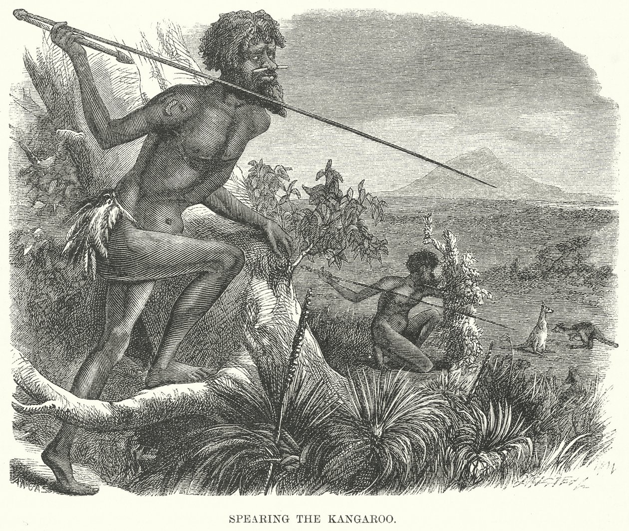 Spearing the Kangaroo by English School