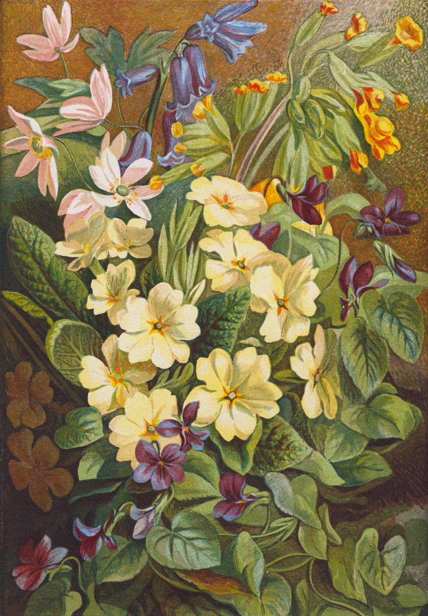 Spring Flowers by English School