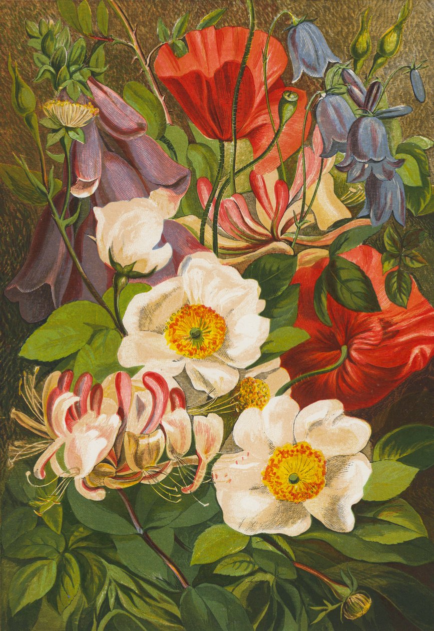 Summer Flowers by English School