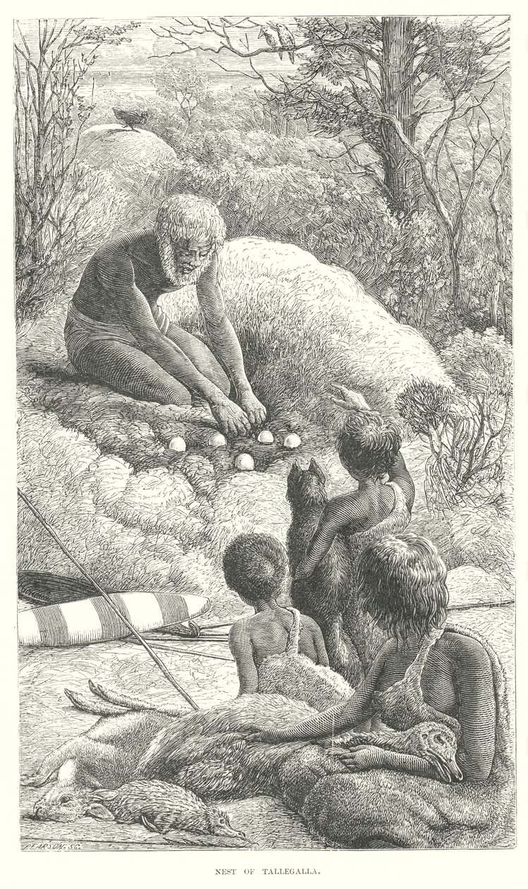 Tallegalla by English School