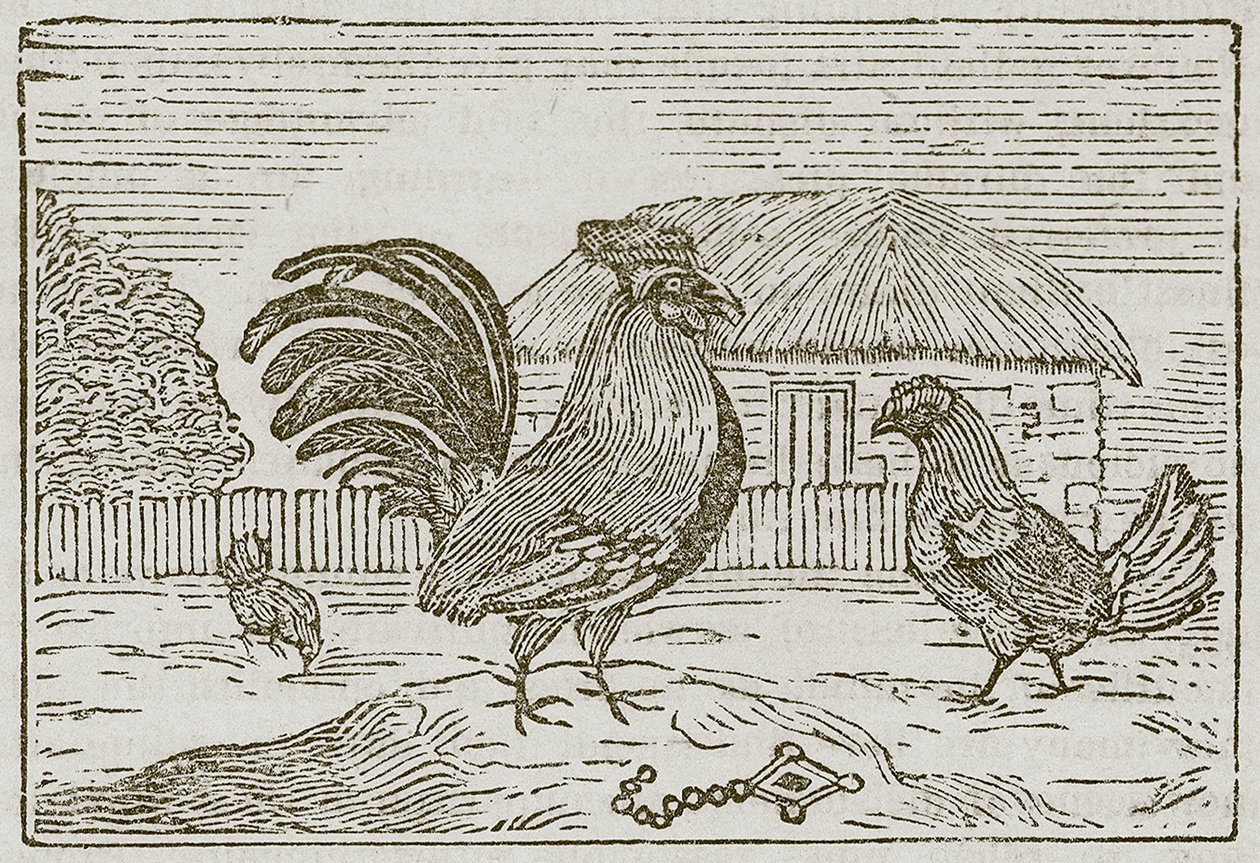 The Cock and the Jewel by English School