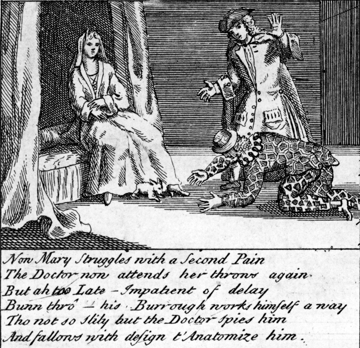 The Doctor in Labour, or the New Whim Wham from Guildford, c.1726 by English School