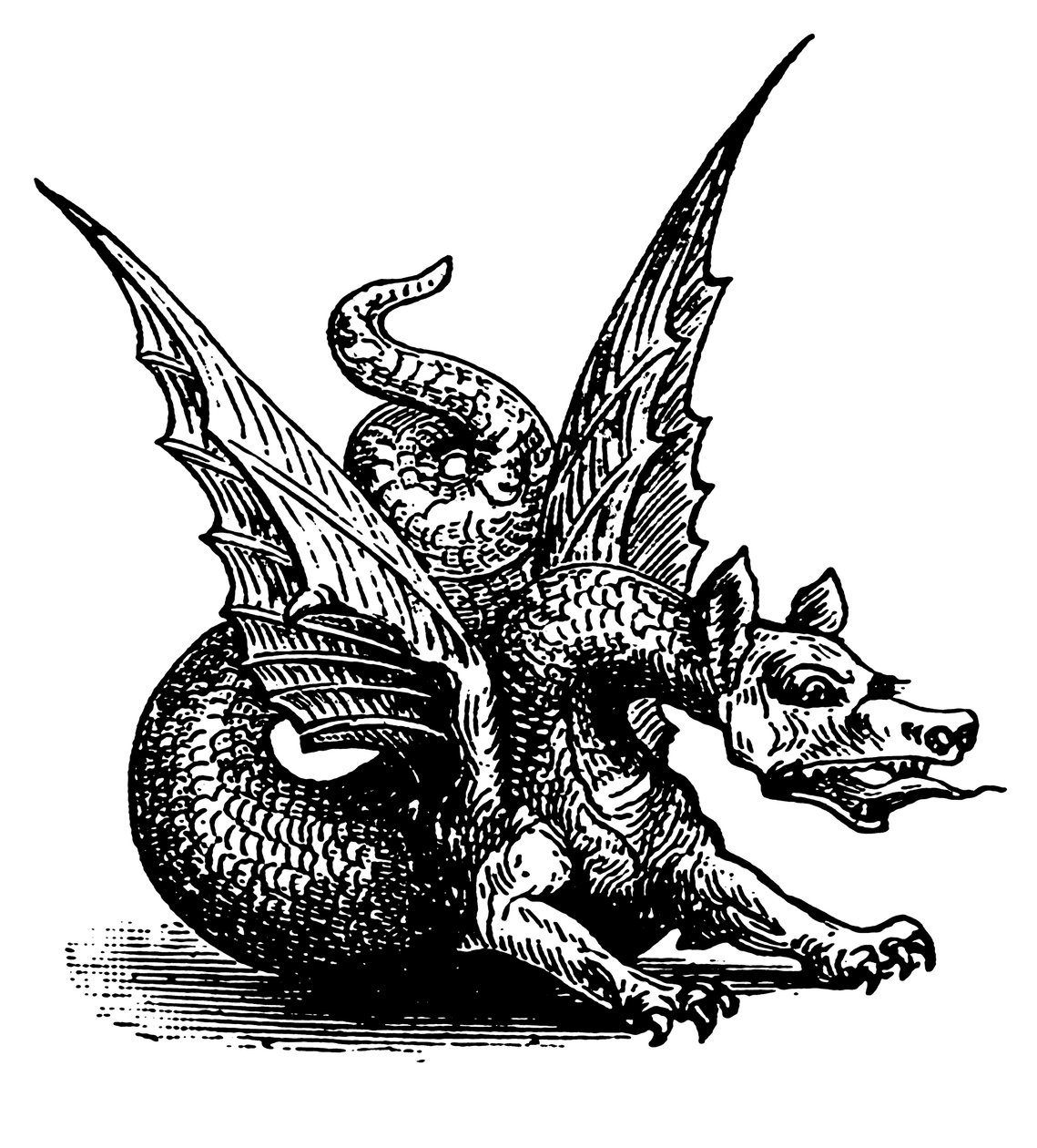 The Dragon of Fable by English School