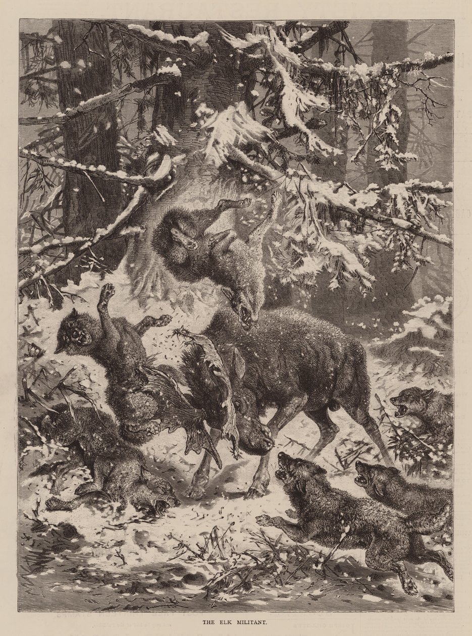 The Elk Militant by English School