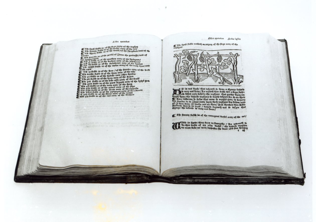 The Fox and the Grapes, from an Illustrated Translation of Aesop
