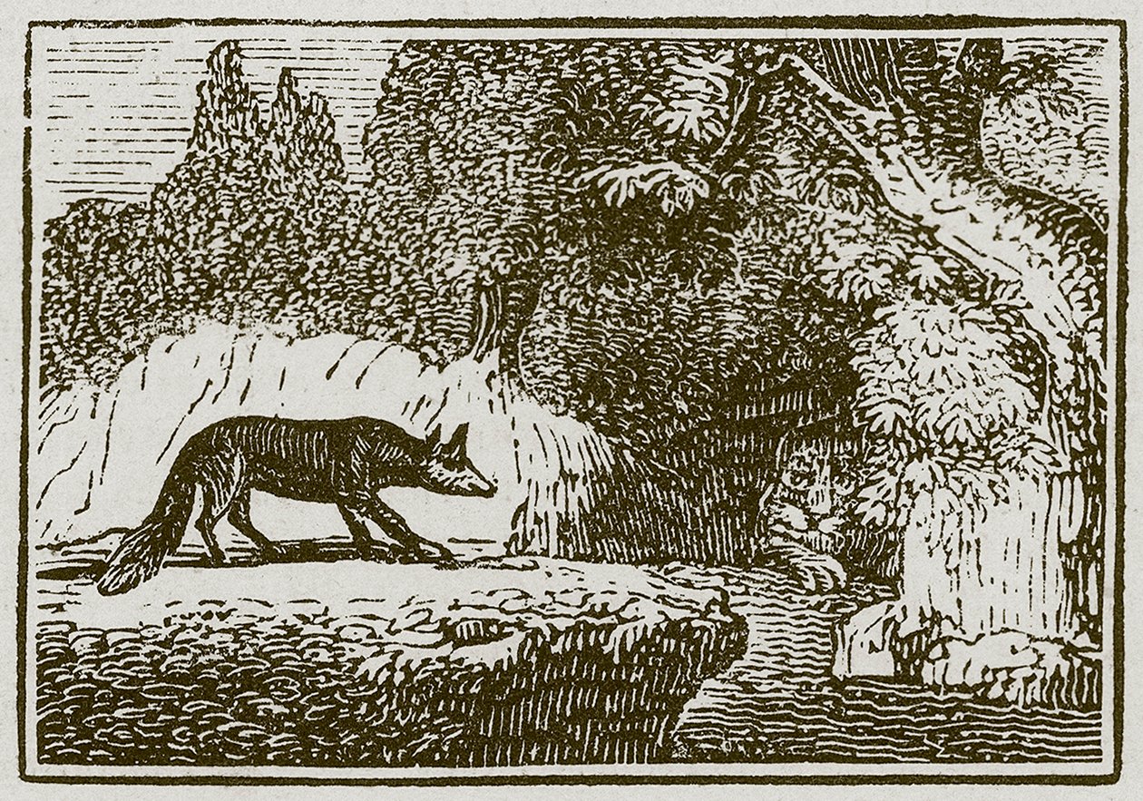 The Fox and the Sick Lion by English School