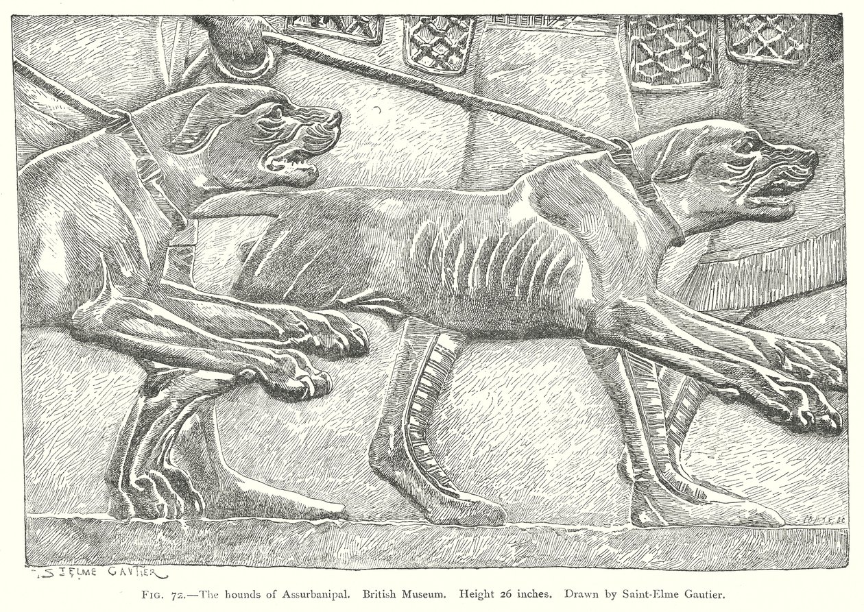 The Hounds of Assurbanipal. British Museum by English School