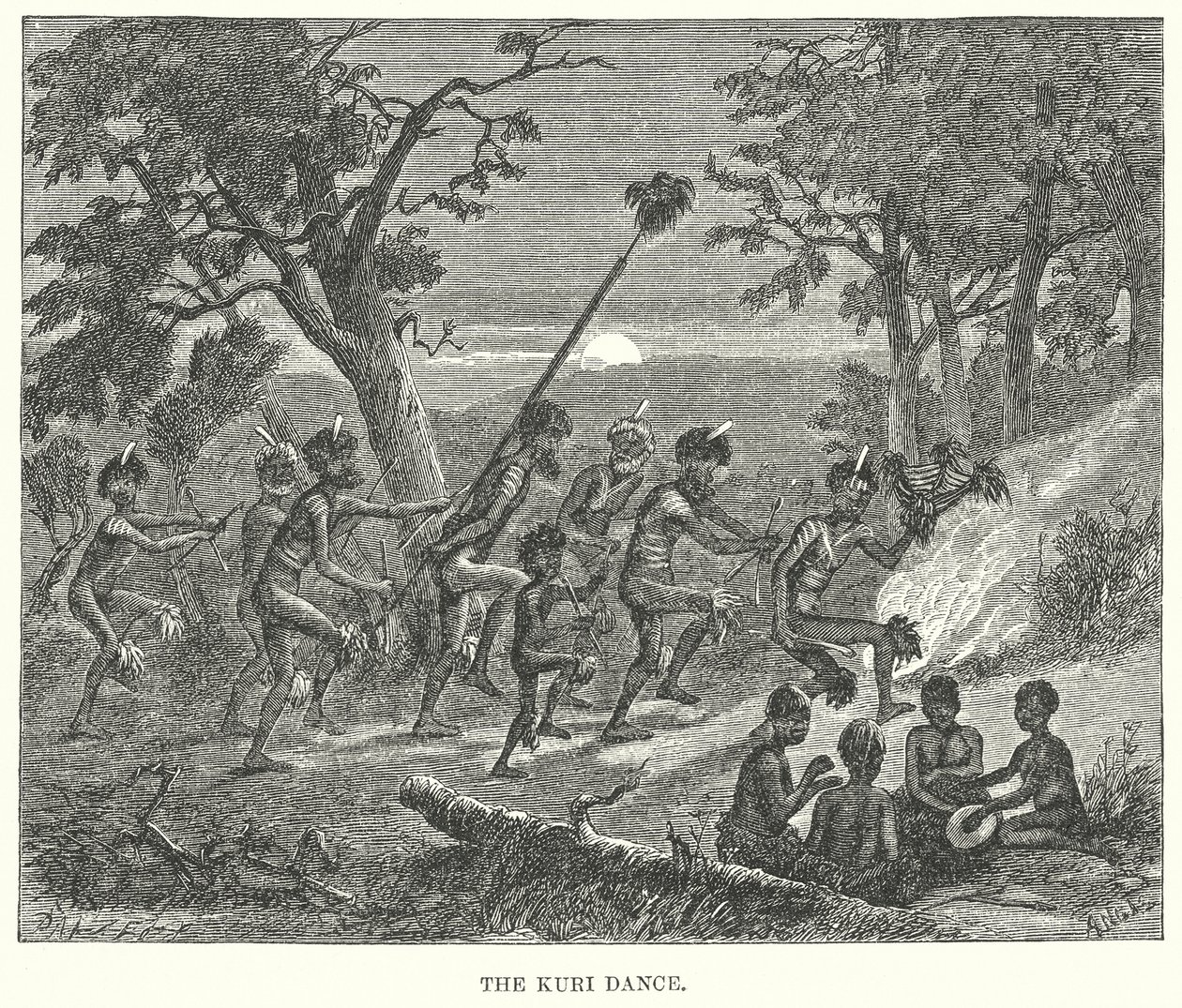 The Kuri Dance by English School