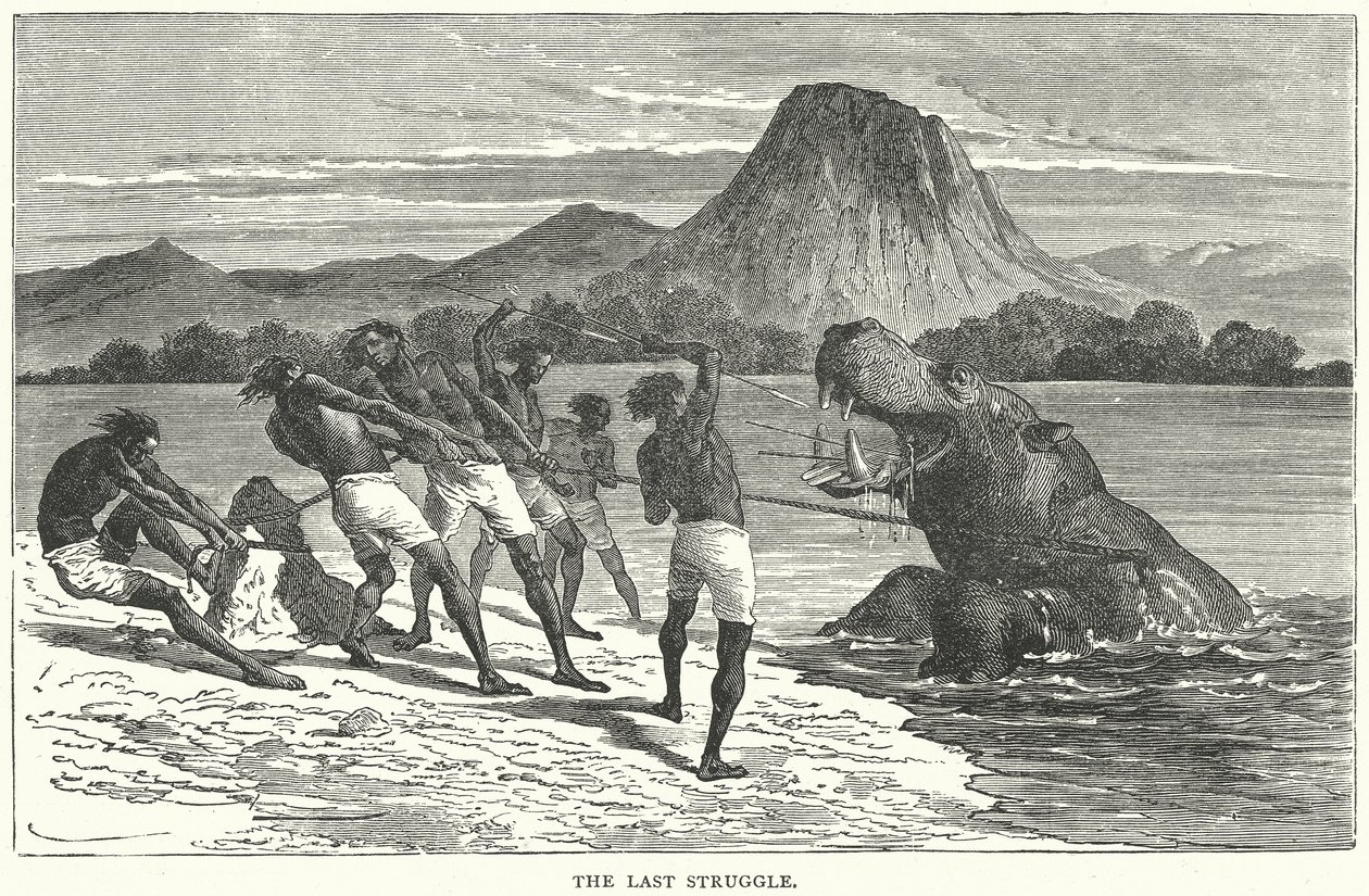 The Last Struggle by English School