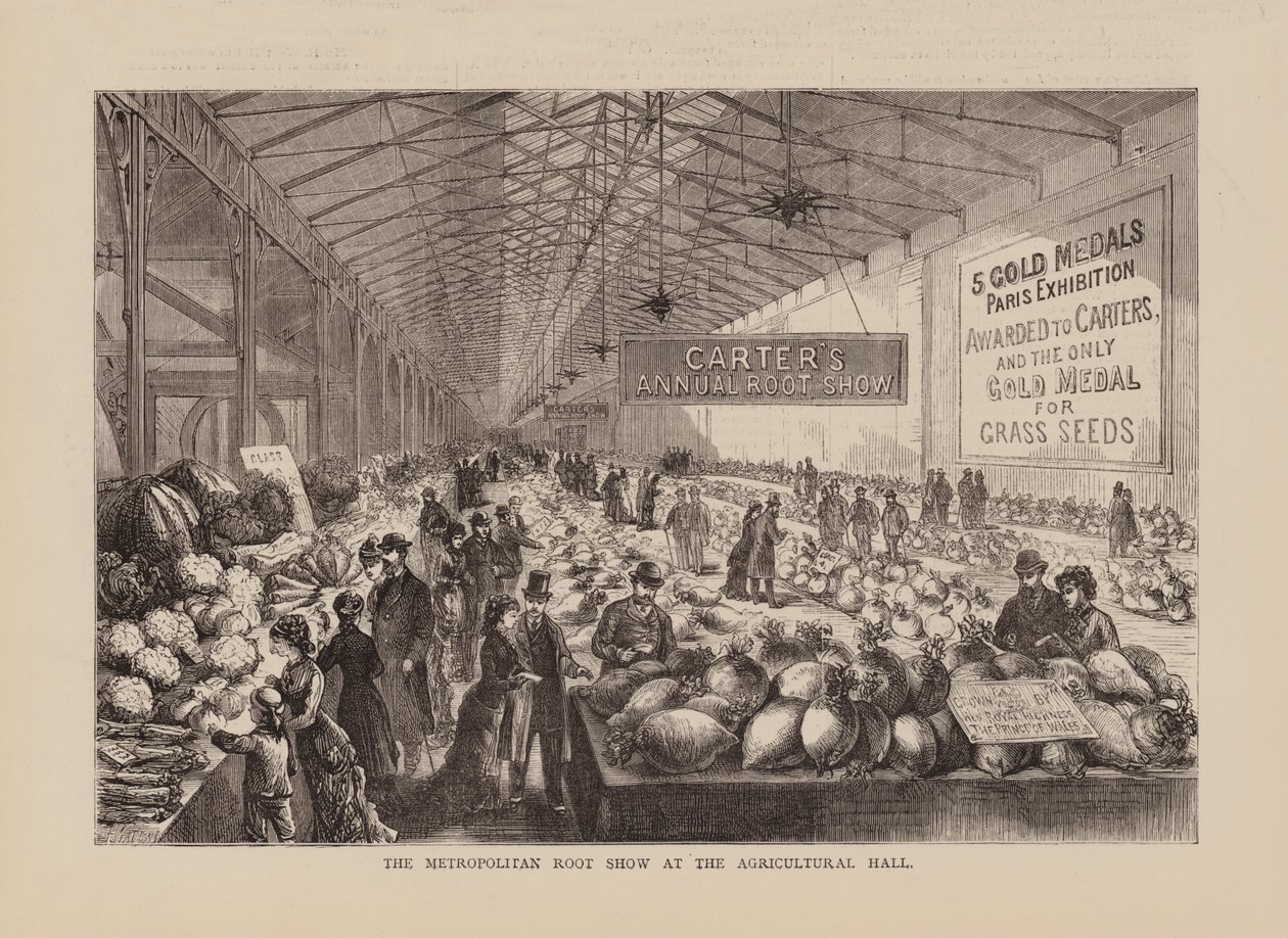 The Metropolitan Root Show at the Agricultural Hall by English School